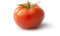 Fresh Wholesale Tomatoes