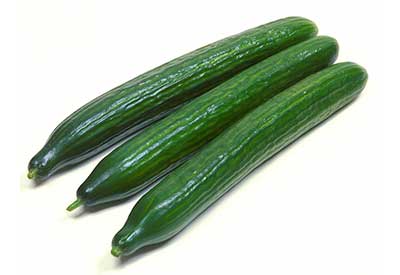 Wholesale Seedless Cucumber