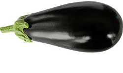 Fresh Wholesale Eggplant