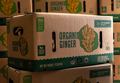 Wholesale Organic Ginger