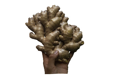 Wholesale Organic Ginger Root