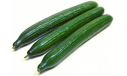 Fresh Wholesale Seedless Cucumber