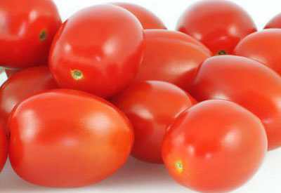 Wholesale Tomatoes
