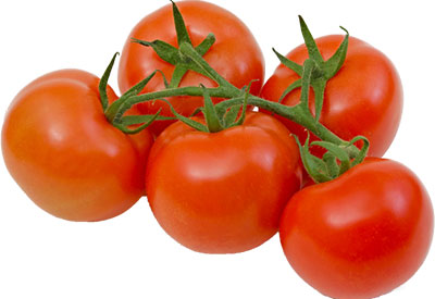 Wholesale Tomatoes
